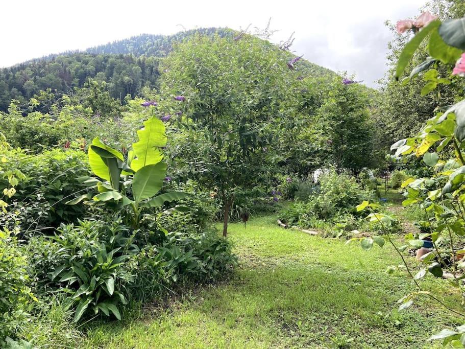 Chambre Double Cosy - Gite De La Louve Fougax-et-Barrineuf Dış mekan fotoğraf